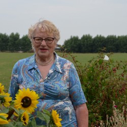 Alice Dewulf deg;18-03-1931 Oavergemsjche Kopn